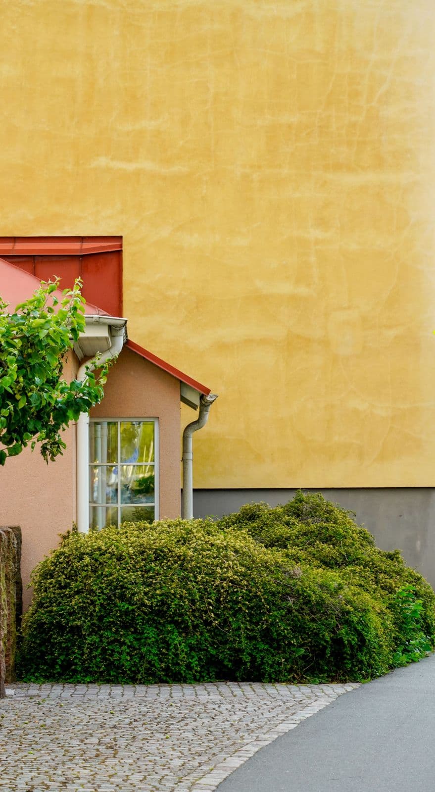 Garden in front of a residential building